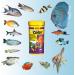 JBL NovoColor 30157 - Complete Food for Colorful Aquarium Fish | 250ml Flakes | Premium Fish Food Online - Buy Online on GoSupps.com