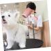 NOLITOY Hair Dryer Holder Hair Dryers Tool Hair Blower Dryer Rack Grooming Arm The Dog Beauty Products - Buy Online on GoSupps.com