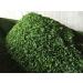 Ulva Hello Seaweed 100% pure natural no sand dried Ulva Letture Aonori 500 g