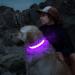 Luminous USB-C LED Dog Collar - Waterproof Adjustable Light with 7 Colors for Small & Medium Dogs (48-60cm) | Lila - Buy Online on GoSupps.com