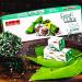 Kajal Chandan Fresh Mitha Pan Without Supari - Hygienically Packaged Traditional Mukhwas 72g (1x12 Units) - Buy Internationally! - Buy Online on GoSupps.com