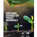 Fulvic Acid Minerals 30ml Bottle - Premium 40 Million Years Old Detox Antioxidant Liquid - 33 Organic Amino Acids - GMO & Chemicals Free - Naturesupplies 30ml - Buy Online on GoSupps.com