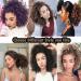 SEGO 3 Packs Afro Crochet Braids - Kinky Curly Hair Extensions in Natural Black & Honey Blonde - Best for Stylish Hair Transformations - Buy Online on GoSupps.com
