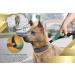 Premium 2-in-1 Jogging Line & Leash for Large/Medium Dogs | Double Handle & Belly Belt | Ideal for Jogging Hiking & Walking - Buy Online on GoSupps.com