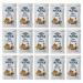 Kens Blue Cheese Salad Dressing Packets - Pack of 15 | Convenient Individual Portions - Buy Online on GoSupps.com