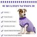 Breathable Post-Op Dog Body Shirt - Hjumarayan Medical Pet Shirt for Dogs & Bitches | Purple Striped Recovery Suit - Buy Online on GoSupps.com