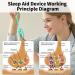 wimony Sleep Aids Device Handheld Calming Sleep Aid Device Microcurrent Sleep Aid for Calm Carry for Anxiety USB Rechargeable for Adults Relieve Insomnia Relieve Stress (Cyan) Green - Buy Online on GoSupps.com