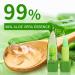 Jutqut 3PCS Aloe Vera Color Changing Lipstick Set - Long Lasting Moisturizing Lip Care with Magic Temperature PH Color Change - Nutritious Plumper Lip Gloss Trio - Buy Online on GoSupps.com
