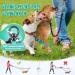 Buy NASJAC Double Dog Leash - No Tangle 360 Rotatable Adjustable Bungee Reflective Leash for Small Medium & Large Dogs - 2-Color Black & Aquamarine - Buy Online on GoSupps.com