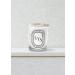 Buy Diptyque LYS Lily Scented Candle 190g | International Shipping & Fast Delivery - Buy Online on GoSupps.com