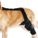 Rear Leg Braces for Small Dogs | Dog ACL Knee Support Brace - Neoprene Hip Brace Support Dog Knee Brace Adjustable Traction Belt for Cruciate Ligame for Cruciate Ligament Injury for Torn ACL Leg L left - Buy Online on GoSupps.com