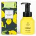 OBED Natural Foaming Hand Soap  Lemon Liquid Hand Soap Pump Bottle  Hydrating and Moisturizing Hand Wash  Lemon Extract and Odor Eliminator  10.15 fl oz (Lemon 65%  Pack of 1) Lemon 65% (1)