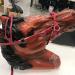 Halter for Horse | Heavy Duty Chin and Throat Snap Halter Horse Comfortable Padded Nylon Horse Halter for Training Equestrian Grooming Lambo Red - Buy Online on GoSupps.com