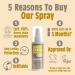 SALT OF THE EARTH Amber & Sandalwood Spray 100 ML - Buy Online on GoSupps.com