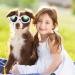 JIABEIUS Dog Goggles - Windproof Anti-Fog UV Protection Sunglasses for Cats & Small Dogs (Black) - Buy Online on GoSupps.com
