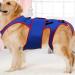 Dog Back Brace Pet Support and Rehab Harness Soft Hip Leg Support | D-Ring and Reflective Strips Dog Back Brace for Dogs Dogs Back Prevention Helps Hurt Relief - Buy Online on GoSupps.com