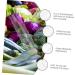 SUPVOX 1pc Plastic Stereotype Star Shaped Planting Growing Molds Forming Shaping Fruit Growth Supply Tool - Buy Online on GoSupps.com