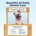 Vetnique Dentabliss - Dog Teeth Cleaning Finger Mitt Dental Wipe - Dog Plaque and Tartar Prevention with Brushing Beads - Convenient Dog Teeth Wipes with Peppermint Dog Breath Freshener 50ct - Buy Online on GoSupps.com