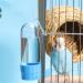 Jildouf Bird Feeder Parakeet Waterer PP Automatic Birds Cage Container 200mL Bottle With Lid Bird Water Dispenser Anti Splash Birds Drinking Water Fountain Feeder - Buy Online on GoSupps.com