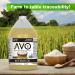 AVO 100% Rice Bran Oil 1 Gallon - Non GMO, No Preservatives - Shop Now! - Buy Online on GoSupps.com