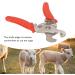 Stainless Steel Livestock Ear Tag Remover Stainless Steel Ear Tag Removing Tool Ear Tags Remover Applicators Pliers for Cattle Sheep Goat Pig Ear Tag - Buy Online on GoSupps.com