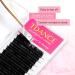 TDANCE Premium D Curl Eyelash Extensions 0.05mm + Ellipse Flat Lashes 0.15 D Curl 8-15mm - Mixed Lengths - Buy Online on GoSupps.com
