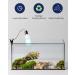 Doright UVA UVB Light 10.0 26W-E27 for Reptiles | UVB Lighting Kit for Chameleons & Leopard Geckos | International Shipping - Buy Online on GoSupps.com