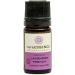 Buy RareEARTH Lavender French Aromatherapy Oil - Premium Quality Essential Oil for Relaxation & Wellness | International Shipping Available - Buy Online on GoSupps.com