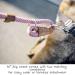 Wooflinen Ultra Reflective Premium 6ft Dog Slip Leash | Ideal for Training Strong Pullers | Mountain Climbing Rope | Pink Marshmallow - Buy Online on GoSupps.com