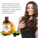Pumpkin Seed Oil Duo: Hair Growth, Skin Care, Nail Nourishment, Scalp Relief, Blood Circulation, Moisturizer, Lash Serum - 2 Bottles - Buy Online on GoSupps.com