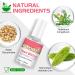 Stop Thumb Sucking & Nail Biting - Child-Friendly Nail Polish Treatment | Bitter Taste | Safe & Effective | Easy Application - 15ML - Buy Online on GoSupps.com