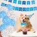 Radsocken Dog Birthday Party Supplies Dog Birthday Bandana Set with Cute Doggie Birthday Hat Bandana Bow Tie Happy Birthday Banner Streamers Balloon Birthday Party Decorations for Dog Cat Pets - Buy Online on GoSupps.com