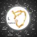 Subeline 12 Constellation Adjustable Ring - Horoscope Collection Birthday Gift for Women & Teen Girls - Buy Online on GoSupps.com