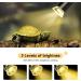 Sunshine Smile Turtle Heat Lamp - 25W & 50W for Reptiles | Terrarium Heat Lamp for Turtles (2PCs) - Buy Online on GoSupps.com