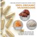 Real Mushrooms Brain Vitality & Immune Support Bundle - Lion's Mane, Reishi, Cordyceps - 330 Capsules - Buy Online on GoSupps.com