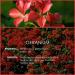 SALKING Geranium Essential Oil 120ml - 100% Pure Natural Therapeutic Grade Aromatherapy Oil for Skin Care, Relaxation, and Sleep - Fragrance Oil for Diffuser and Humidifier - Great Gift for Women - Buy Online on GoSupps.com