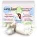 Luna Bean Baby Keepsake Hand Casting Kit - Plaster Hand Molding Casting Kit for Infant Hand & Foot Molding - Baby Casting Kit for First Birthday, Christmas & Newborn Gifts - (Clear Sealant - Gloss)