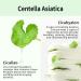 Buy VT COSMETICS CICA Foam Cleanser 10.1 fl oz - Best Face Cleanser for All Skin Types | International Shipping Available - Buy Online on GoSupps.com