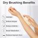 Body Exfoliating Brush for Shower | Anti-Slip Scrubber | Deep Cleansing & Softens Skin | Improves Circulation | Reduces Ingrown Hairs - 1 Pack Cream White - Buy Online on GoSupps.com
