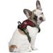 Littlearth NHL Colorado Avalanche Front Clip Pet Harness - X-Small, Team Color - Buy Online on GoSupps.com