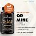 Solve Labs Premium Siberian Chaga Capsules 10% Beta-D-Glucans 10:1 Extract Zero Fillers & Additives 60 Capsules 1 Month Supply - Buy Online on GoSupps.com