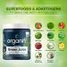 Organifi Green Juice - Organic Superfood Powder - 30-Day Supply - Vegan Greens for Stress Relief, Weight Control, and Total Body Wellness - 9.8 oz - Buy Online on GoSupps.com