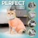 AVONT Cat Recovery Suit - Protective Alternative Surgical Spay Suit for Female Cats Gray Coral L - Ideal for Post-Operative Care & Skin Diseases - Buy Online on GoSupps.com