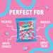 Swizzels Squashies Sweets - Bubblegum Flavour- Single Pack 140g 140g Pack - Buy Online on GoSupps.com