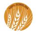 Colavita Whole Wheat Spaghetti - 16 Oz Pack of 20 | Healthy Pasta Choice - Buy Online on GoSupps.com