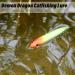 Gourami Catfish Float Rig with Demon Dragon Lure - Orange Santee Tackle for Rattling Action - Buy Online on GoSupps.com
