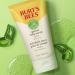 Burt's Bees Gentle Face Scrub with Aloe for Sensitive Skin 98.9% Natural Origin 118ml - Buy Online on GoSupps.com