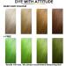  Attitude Holland Attitude Hair Dye | Vegan and cruelty-free semi-permanent hair dye with conditioner | Vibrant hair color for all hair types | Locally Produced | Color conditioner | Free UV Green | 135 ml - Buy Online on GoSupps.com