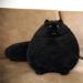 Buy Black Cat Plush Toy Soft Cat Cushion & Fluffy Filled Animal for Kids Perfect Birthday Gift & Decorations - Buy Online on GoSupps.com