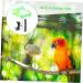 Beavorty 2 Sets Bird Leash Lizard Leash Pet Bird Harness and Leash Chicken Harness for Birds Parrot Bird 12X6X1.3CMx2pcs Greenx2pcs - Buy Online on GoSupps.com